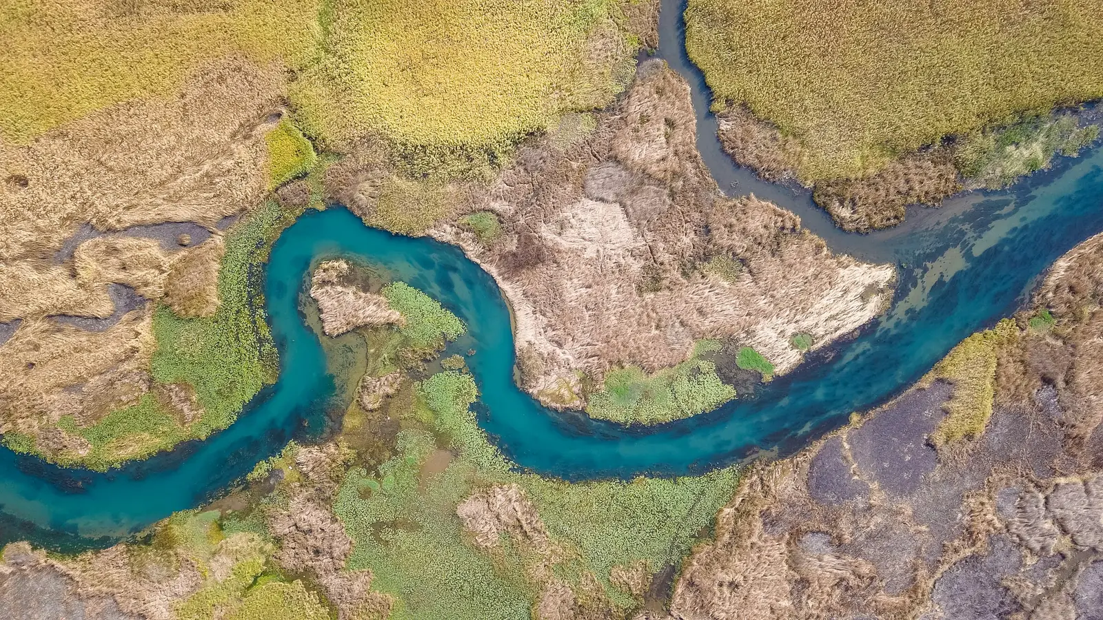 A river winds through a green landscape – water connects habitats.