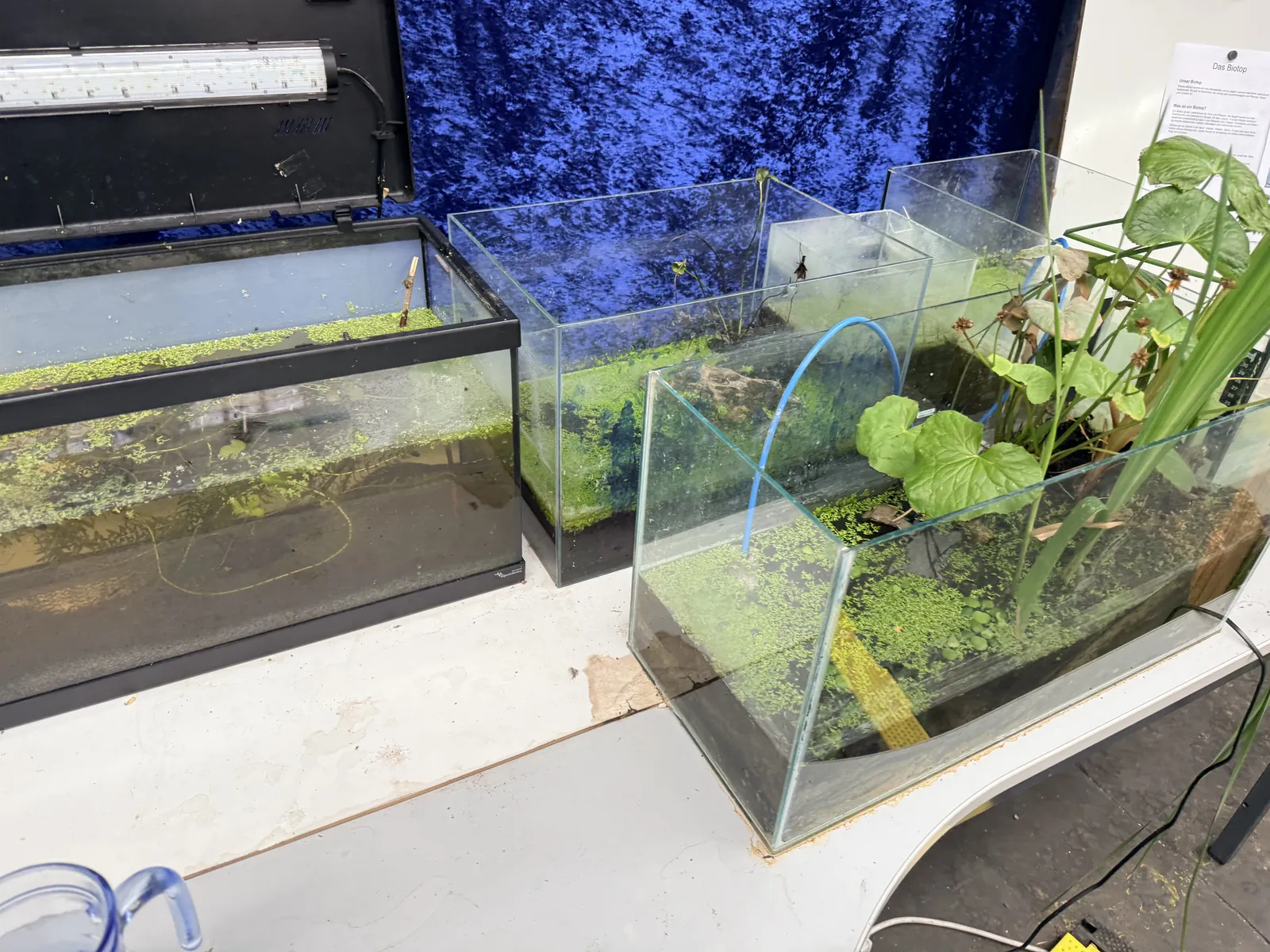 Test tank in the e.Ray laboratory