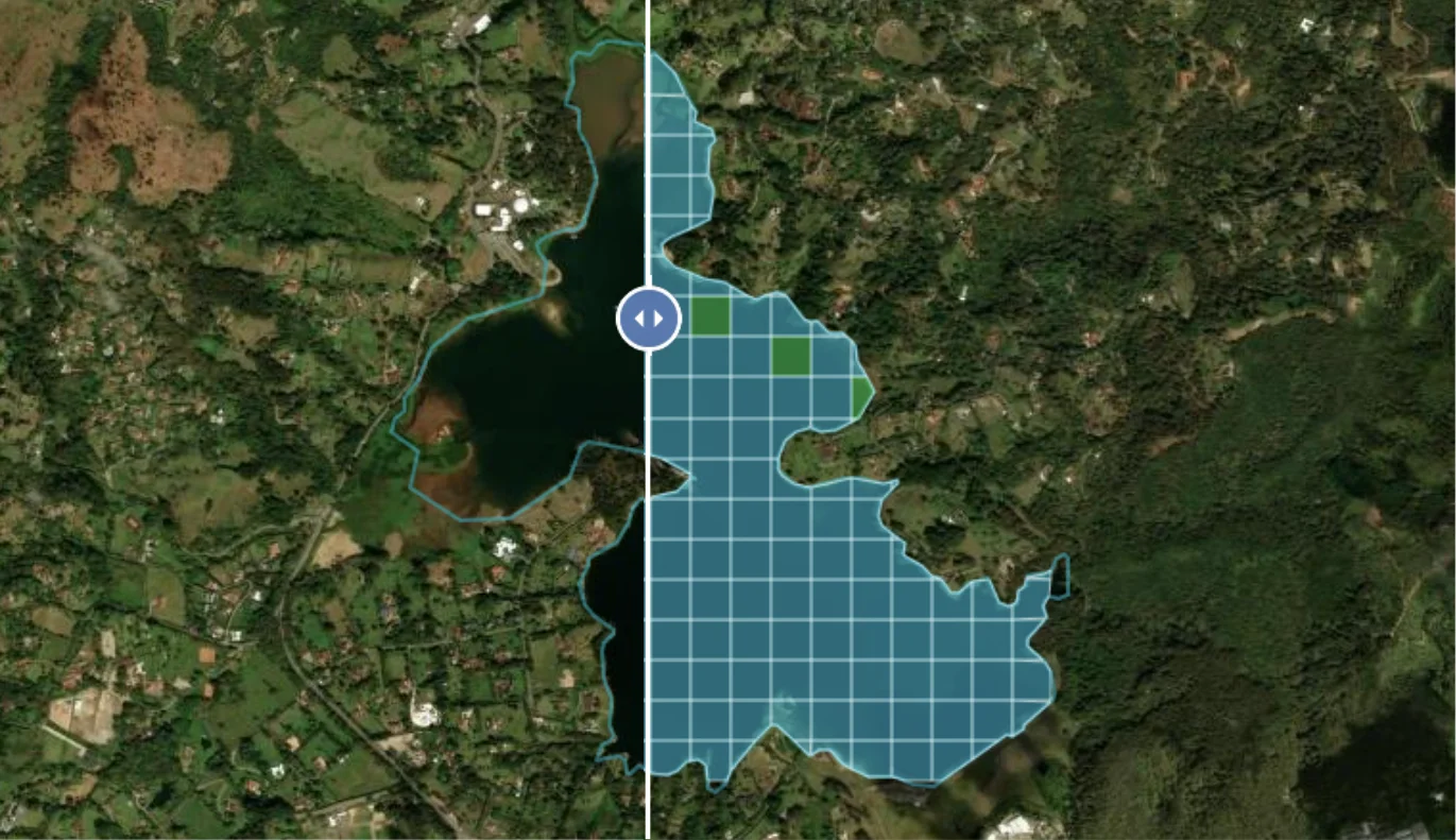 SWIM · before-after comparison: satellite image and analysis grid